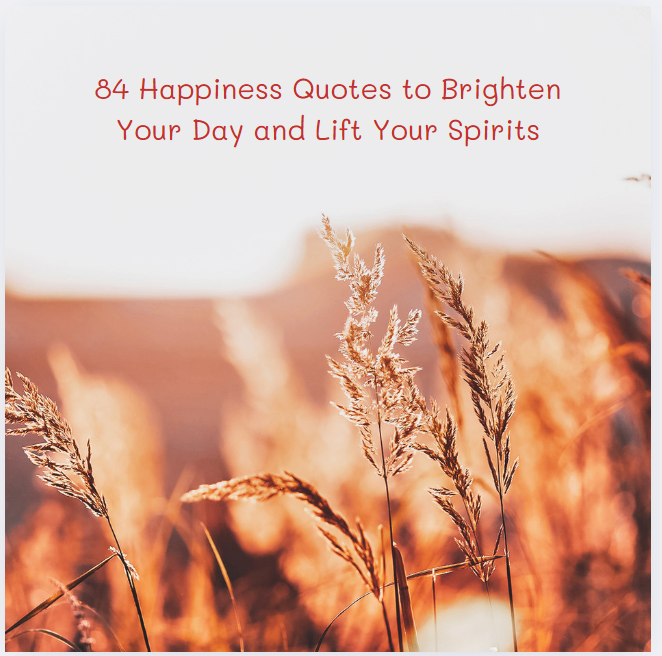84 Happiness Quotes to Brighten