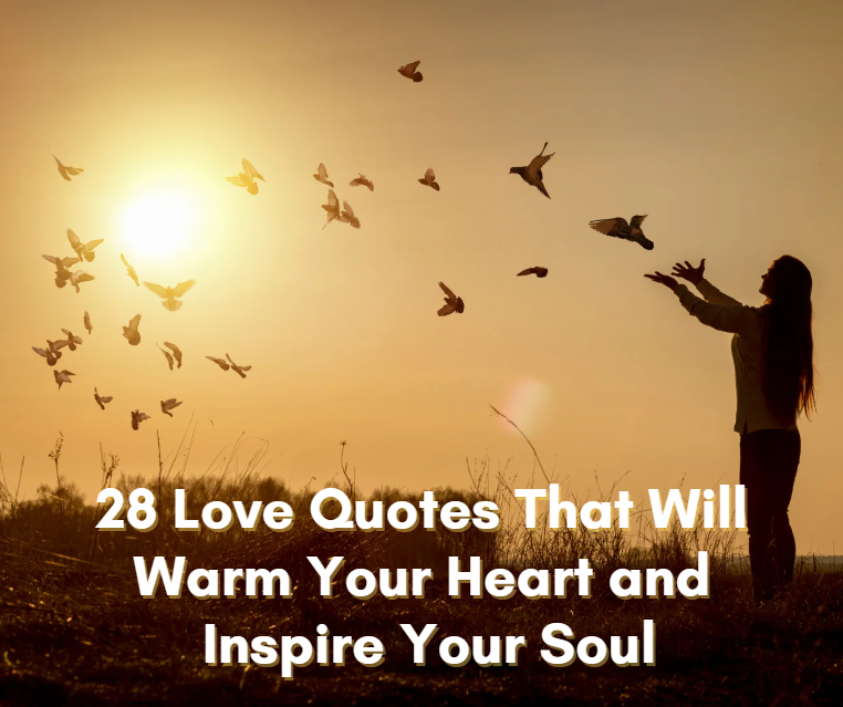 28 Love Quotes That Will Warm